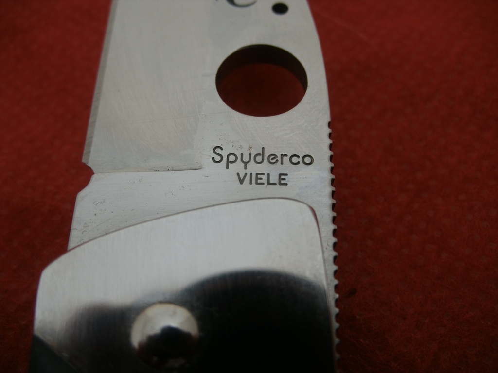 ) Hodwart  Viele
