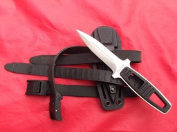 (6) ) -  Kershaw Amphibian